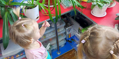 Ознайомлення з природним довкіллям " Подорож у царство кімнатних рослин" гр1 ( ранній вік), вихователь Стецюк А.О.