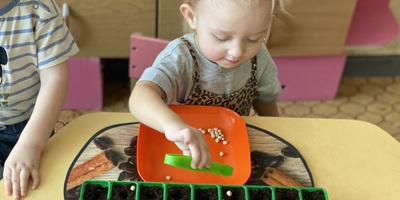 Ознайомлення з природним довкіллям " Подорож у царство кімнатних рослин" гр1 ( ранній вік), вихователь Стецюк А.О.